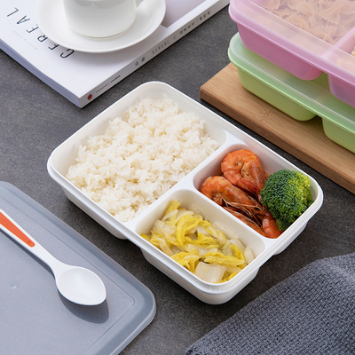 Recipientes plásticos reusáveis do almoço das crianças, BPA Bento Lunch Box livre