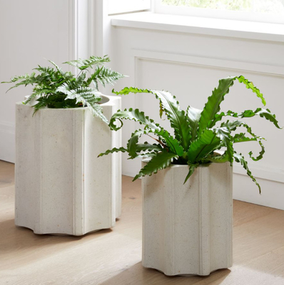 Potenciômetro e plantador plásticos de flor de Rotomoulding com serviço do OEM