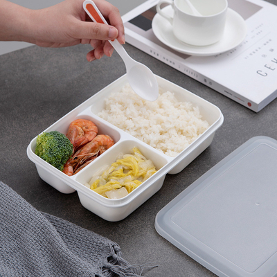 Eco BPA amigável PP livres Bento Lunch Box For Kids plástico